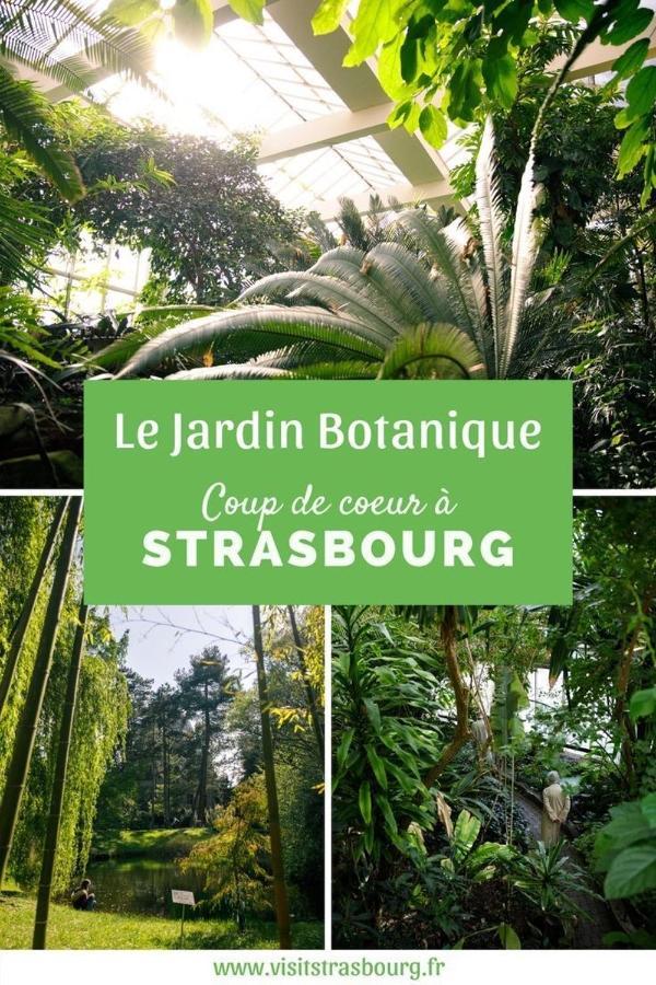 Appartement 6 Personnes Strasbourg Proche Centre Ville & Parking Exterior photo